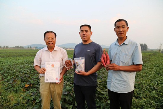 谁不说俺家乡好 山东打造乡村振兴“齐鲁样板”