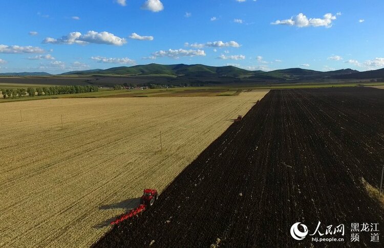 北大荒集團秋季農業生産由田間收穫轉入秋整地階段