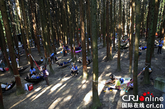 已过审【行游巴渝+摘要】石柱黄水国家森林公园成重庆游客首选避暑胜地