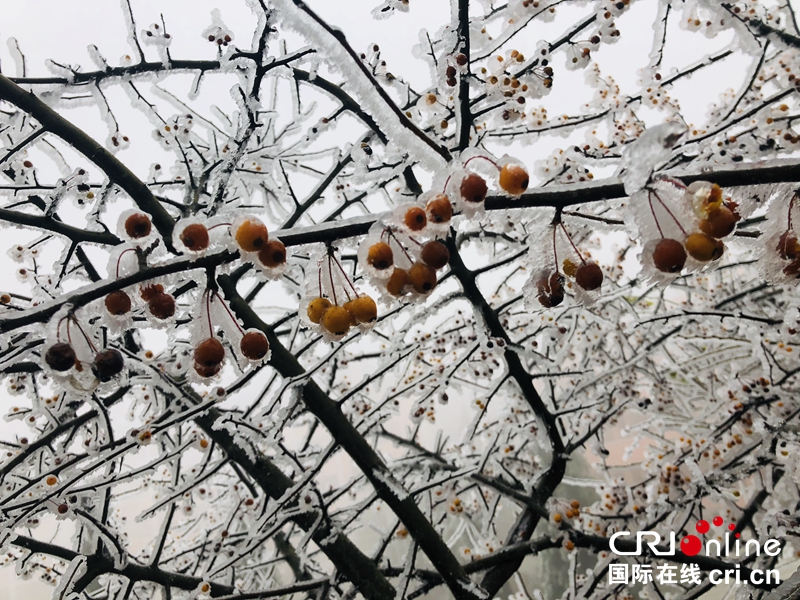 贵州贵定现“冰雪世界”美景