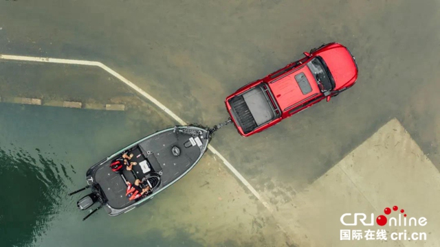 皮卡市场需要“第二辆”长城炮吗？