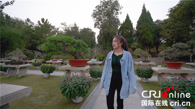 【视频已审过】【A】老挝留学生李菲凤：看古城风貌 感受开封文化沉淀