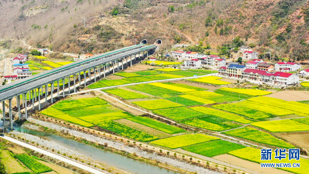 航拍湖北保康县万亩油菜花绽放