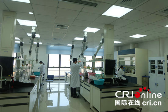 【本網原創-圖片+摘要(頁面標題:河南省藥監局:保障人民用藥安全)】河南省藥監局:加強藥品監管 保障人民群眾用藥安全