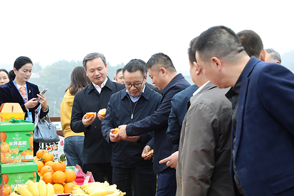 四川省推动退役军人参与城乡基层治理工作现场会在宜宾召开_fororder_在宜宾市翠屏区牟坪镇观摩2