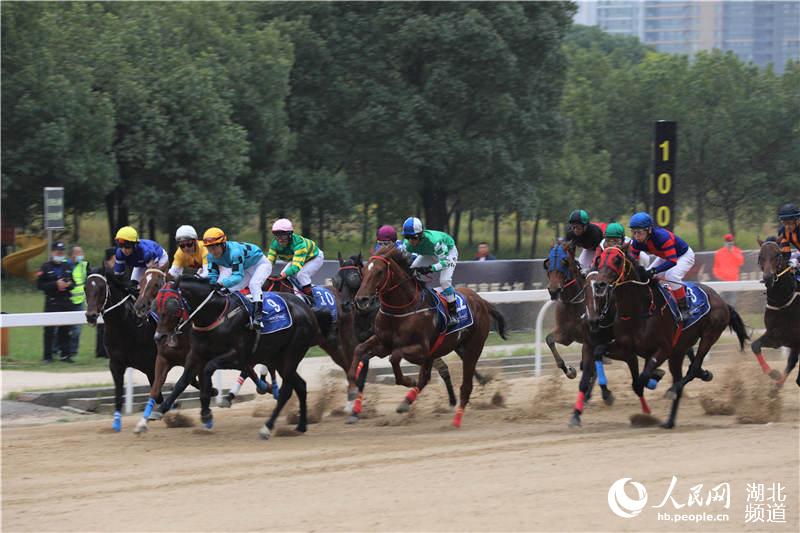 一年一度賽馬盛宴 武漢馬城賽道戰火重燃