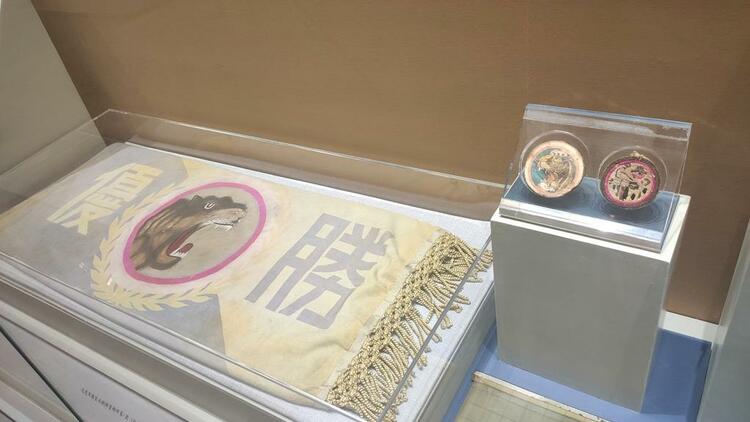 血战长津湖、奇袭白虎团……这场最燃最泪目的展览，只为纪念70年前“最可爱的人”