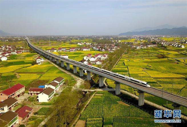 图片默认标题_fororder_2