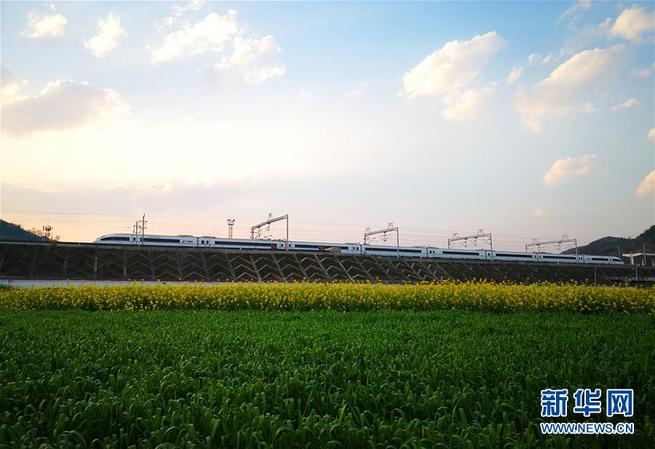 图片默认标题_fororder_7