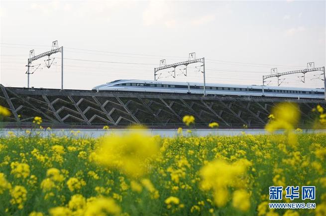 图片默认标题_fororder_8