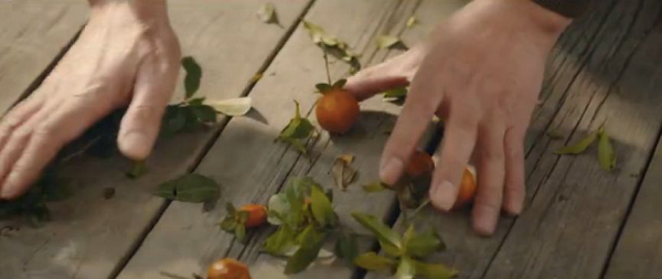 中国年度营销好戏上演 百草味等多家机构获杰出营销奖