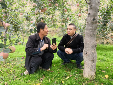 天猫双11成脱贫决战新力量 阿里再加码帮扶最后52个贫困县_fororder_天猫双11成脱贫决战新力量 阿里再加码帮扶最后52个贫困县633