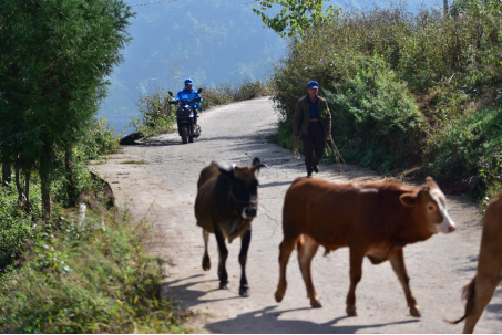 天猫双11成脱贫决战新力量 阿里再加码帮扶最后52个贫困县_fororder_天猫双11成脱贫决战新力量 阿里再加码帮扶最后52个贫困县859