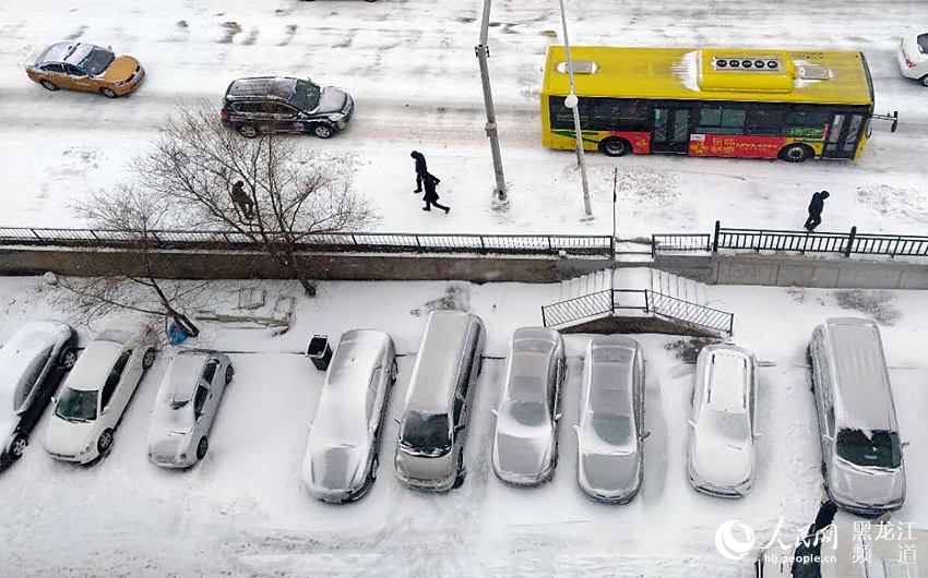 春分时节哈尔滨迎来“冬雪” 最高气温0℃（组图）