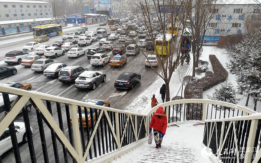 春分时节哈尔滨迎来“冬雪” 最高气温0℃（组图）