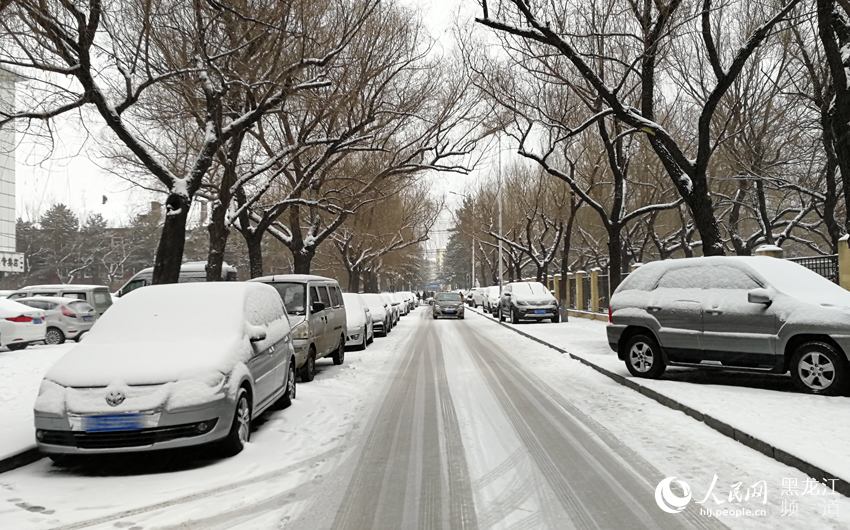 春分时节哈尔滨迎来“冬雪” 最高气温0℃（组图）