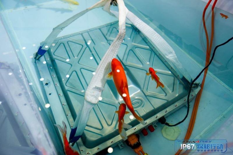 传祺GS4 PHEV万元补贴 听听第一批吃甜头的人怎么说