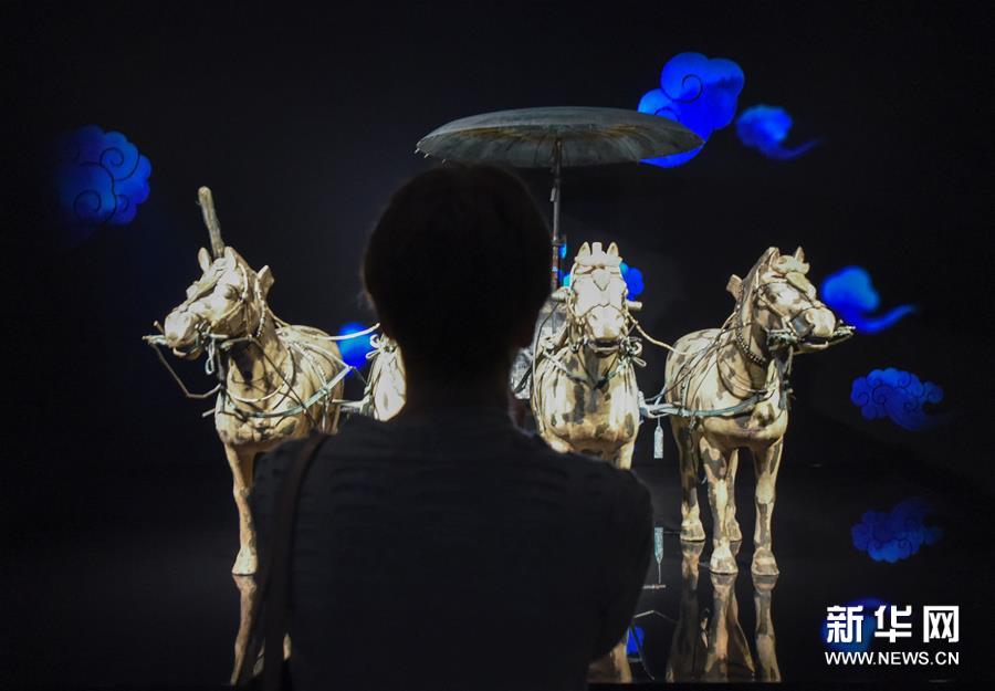 秦始皇兵马俑在新西兰国家博物馆展出