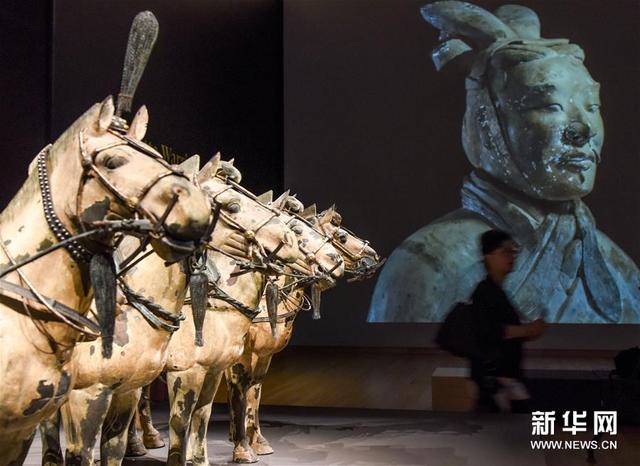 秦始皇兵馬俑在新西蘭國家博物館展出