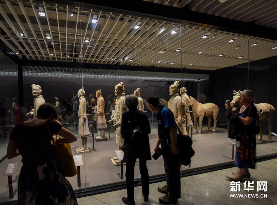 秦始皇兵马俑在新西兰国家博物馆展出