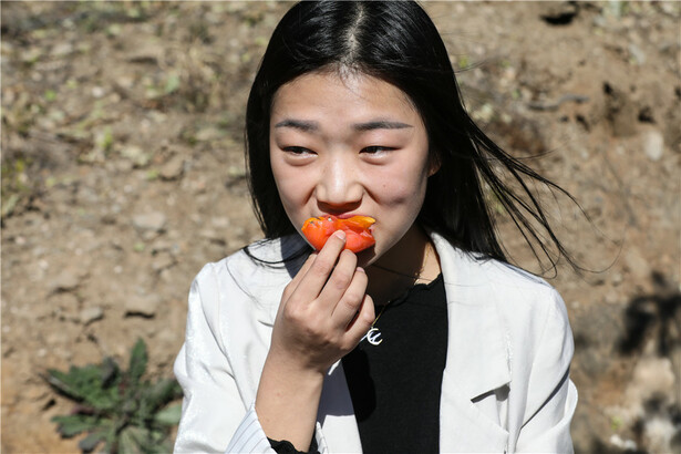 【高清組圖】紅艷艷的秋天 紅火火的日子