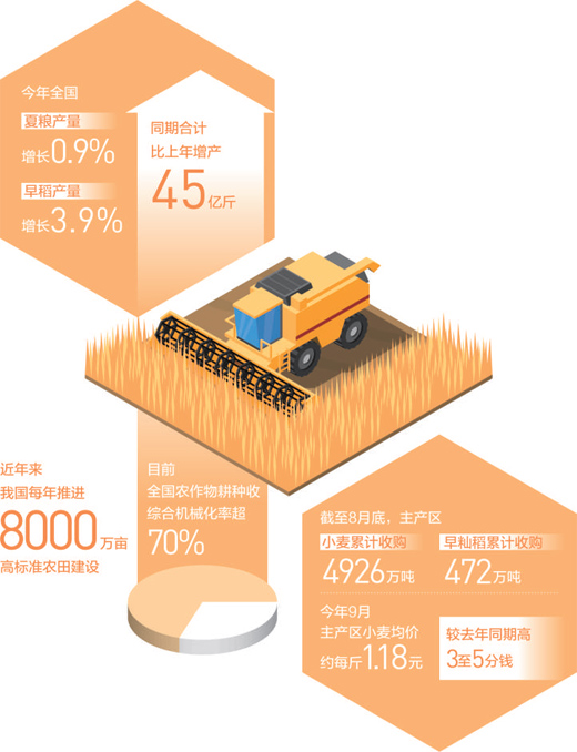 秋粮收获接近八成，丰收已成定局—— 金秋季，粮食丰收有底气