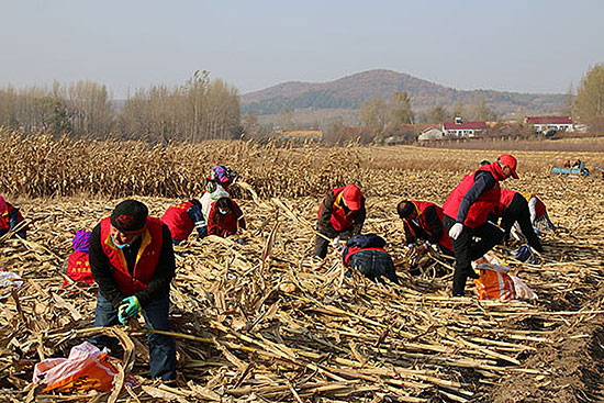 【B】【吉03】長春蓮花山生態旅遊度假區：助農秋收暖人心