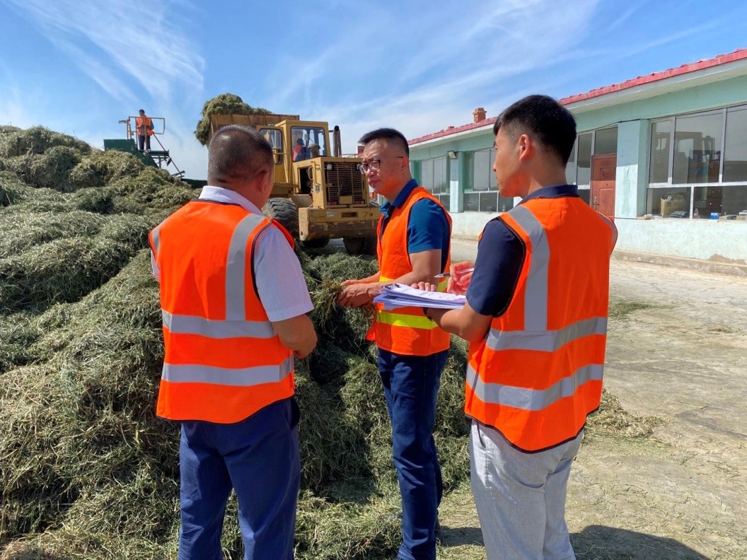 以党建为引领  蒙牛奶源黑麦草种植让农牧民的钱袋子鼓起来_fororder_2