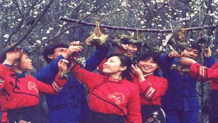 "Kuş uçuran" Maonanlar "Kuş uçuran" Maonanlar