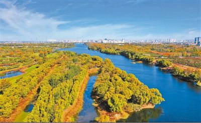 融合發展 優勢互補