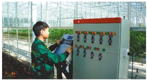盤錦建起4個國家級農業示範區