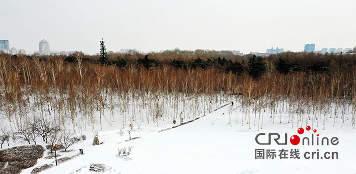 02【吉林】【原創】【圖説吉林】【CRI看吉林(標題)】【關東黑土(長春)】【移動版(圖)】長春:春分時節雪紛紛