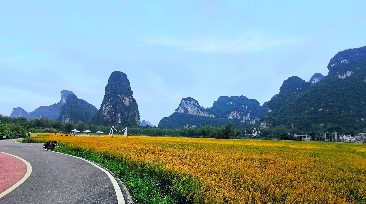 国际在线广西频道消息:10月27日,广西崇左大新县明仕旅游