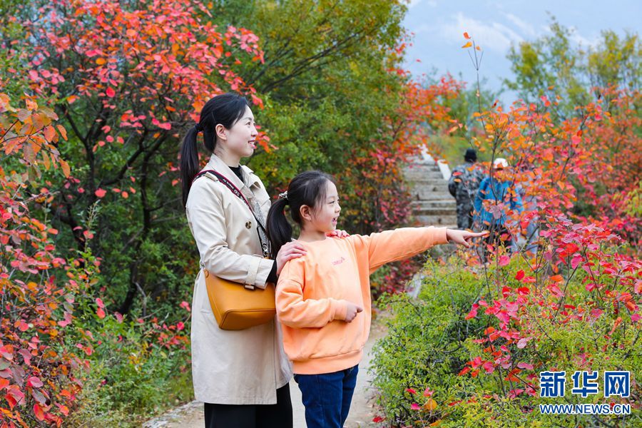 【城市遠洋】河南洛寧：滿山紅遍景如畫 生態效益惠民生