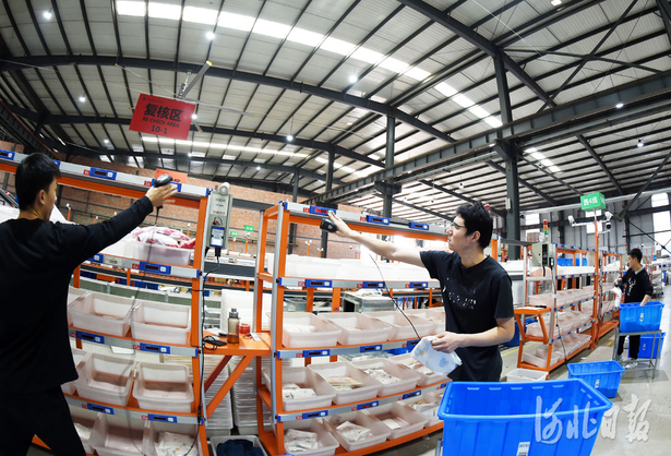 河北宁晋：备货“双十一”