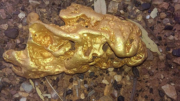 澳大利亚男子外出散步捡到2.5公斤重天然金块