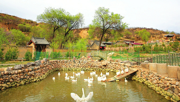 圖片默認標題_fororder_1_副本