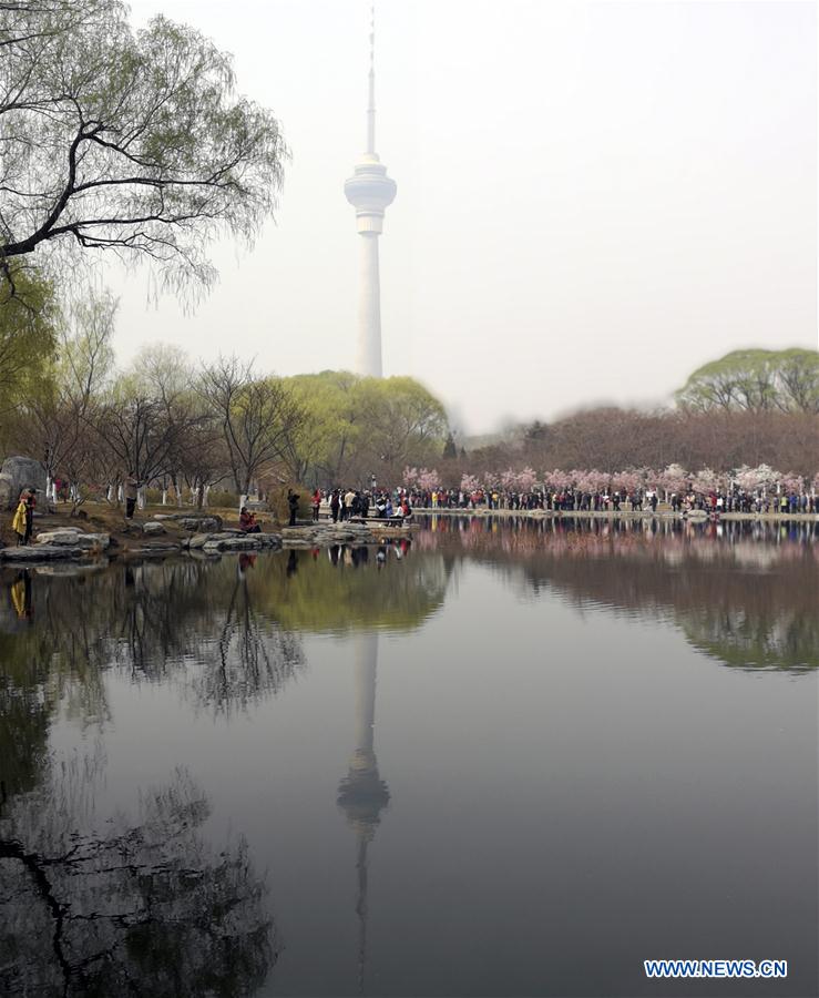 People visit Yuyuantan Park in Beijing