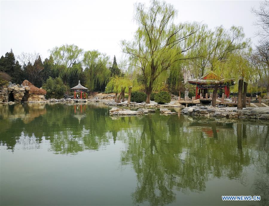 Spring scenery in Beijing