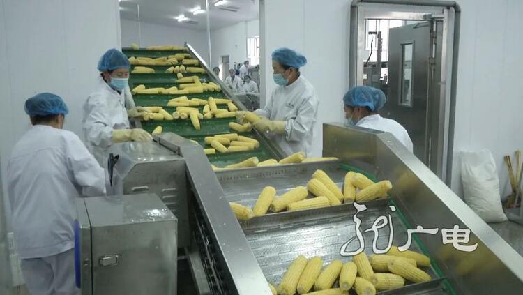 龙江食品产业“遇见未来”