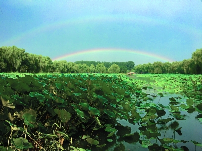 彩虹當空照 雷雨頻繁擾