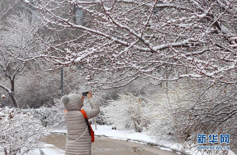 一場春雪讓盛京銀裝素裹