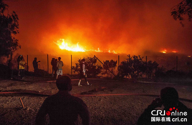 智利发生森林大火 民众紧急撤离