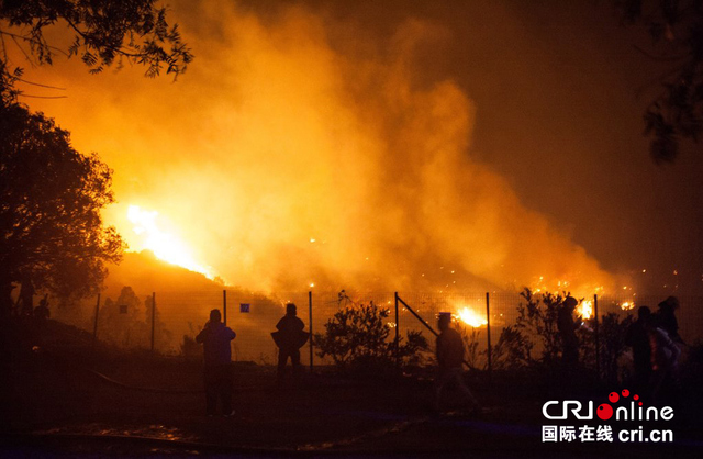 智利发生森林大火 民众紧急撤离