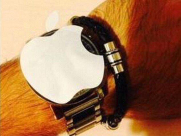 蘋果看了會崩潰 來看各式各樣的山寨蘋果手錶