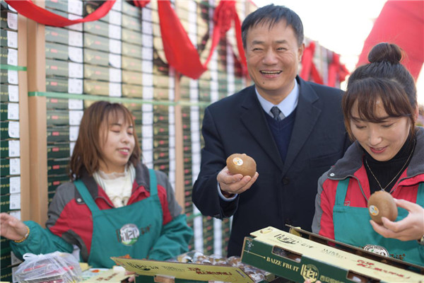 拓展東北亞市場 周至獼猴桃專題宣傳推介會在瀋陽舉行