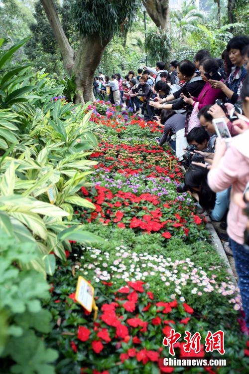 香港礼宾府开放日 民众赏花游园