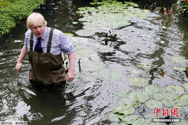 伦敦市长亲力亲为 穿衬衫系领带下水种睡莲