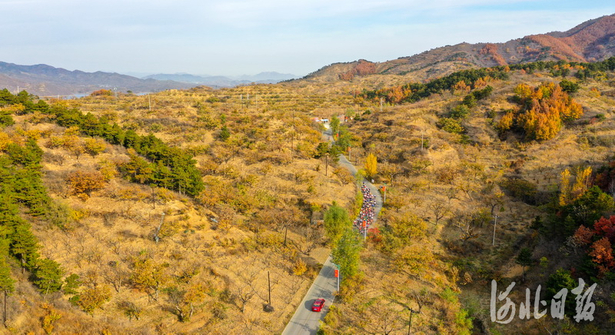 河北迁西：2020年全国公路自行车锦标赛第五日比赛精彩瞬间