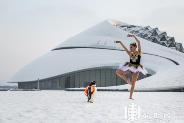 15个必到网红打卡地、5条精品线路、10大主题节庆..... 黑龙江冰雪季开启，今冬这么玩